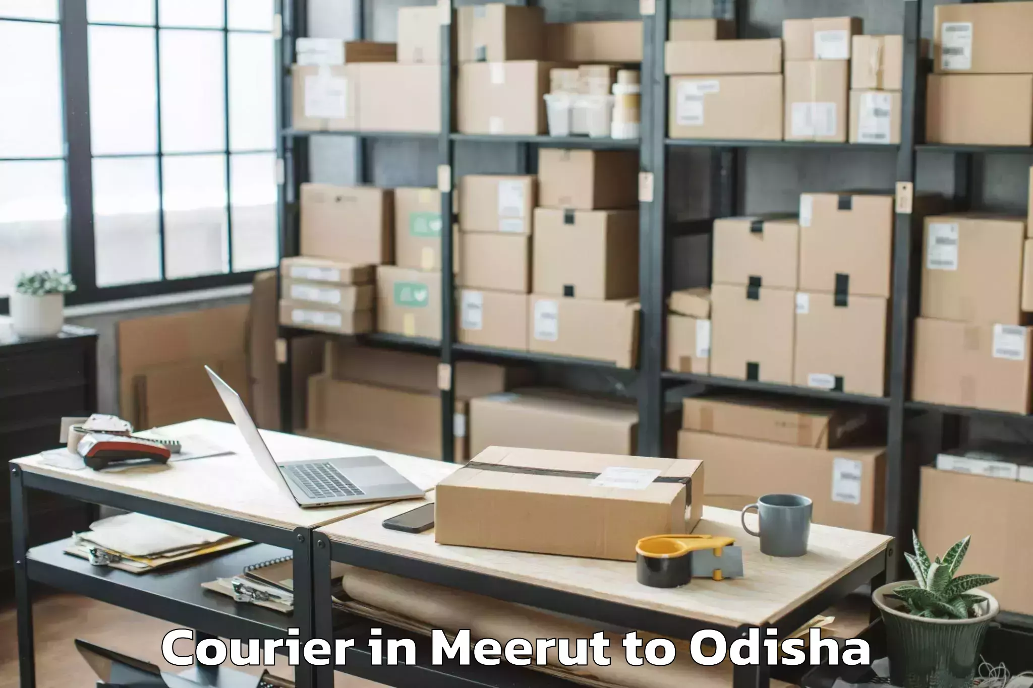 Easy Meerut to Rugudi Courier Booking